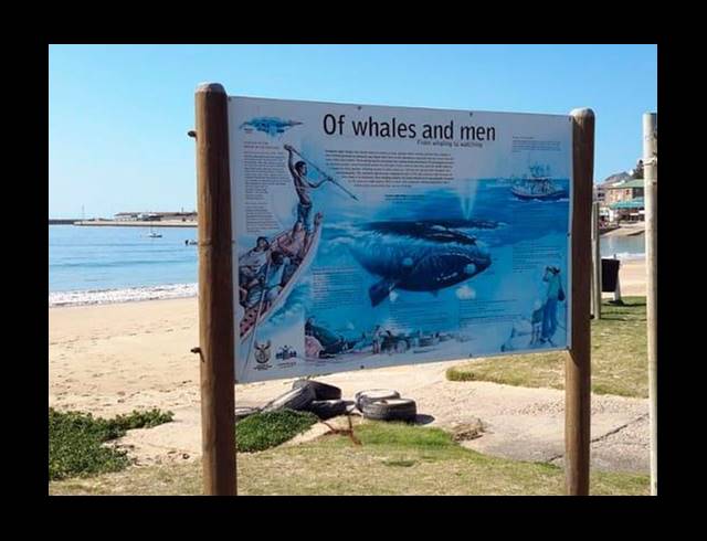 LAND FOR SALE IN DIE BAKKE